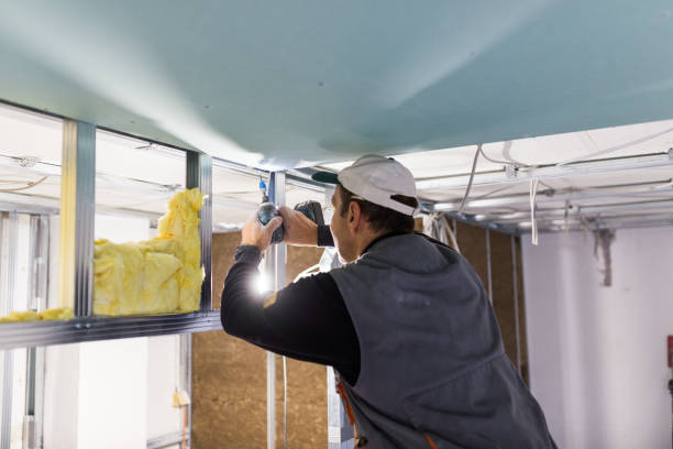 Best Spray Foam Insulation  in Pearl River, LA